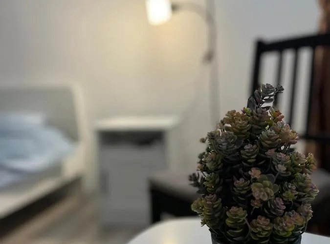 2 Mega Mall National Arena